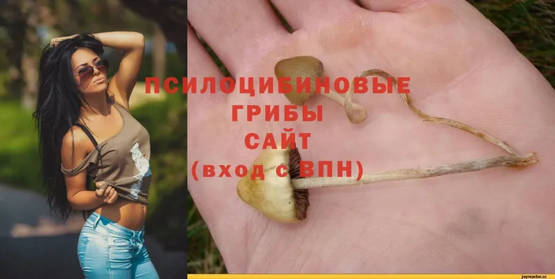 Галлюциногенные грибы Magic Shrooms  Заозёрск 